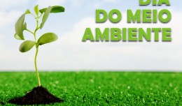 dia_do_meio_ambiente