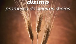 dizimo