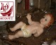 natal_fe