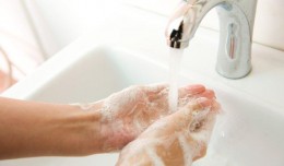 hands