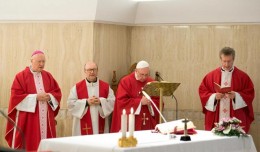 papa_missa_santa_marta_030513